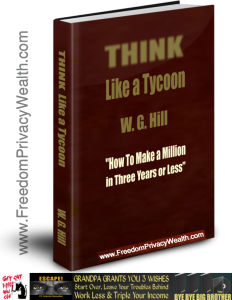 W.G. Hill Think Like a Tycoon